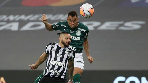 nhận định Bahia cùng Palmeiras